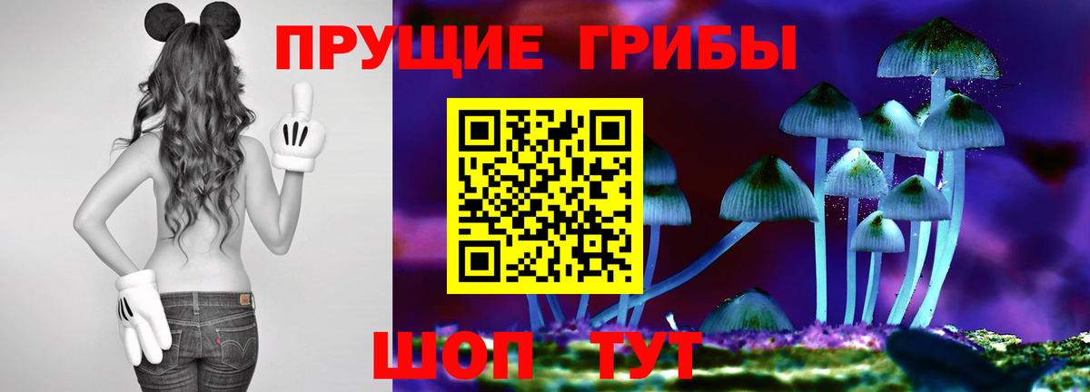 Нягань  где можно купить наркотик  Вход с VPN  Галлюциногенные грибы GOLDEN TEACHER 